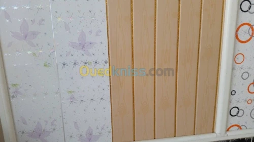 PLACO PLATRE FAUX PLAFON PVC  GROS ET DÉTAILS 