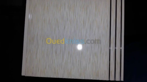 PLACO PLATRE FAUX PLAFON PVC  GROS ET DÉTAILS 