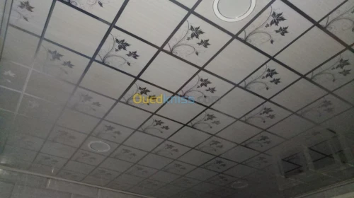 PLACO PLATRE FAUX PLAFON PVC  GROS ET DÉTAILS 