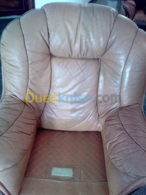 Nettoyage professionnel du cuir