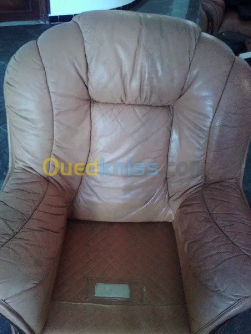 Nettoyage professionnel du cuir