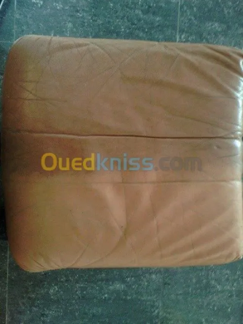 Nettoyage professionnel du cuir