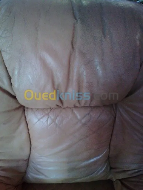 Nettoyage professionnel du cuir