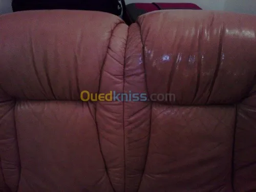 Nettoyage professionnel du cuir