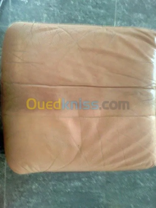 Nettoyage professionnel du cuir