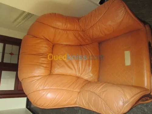 Nettoyage professionnel du cuir