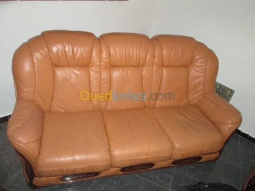 Nettoyage professionnel du cuir