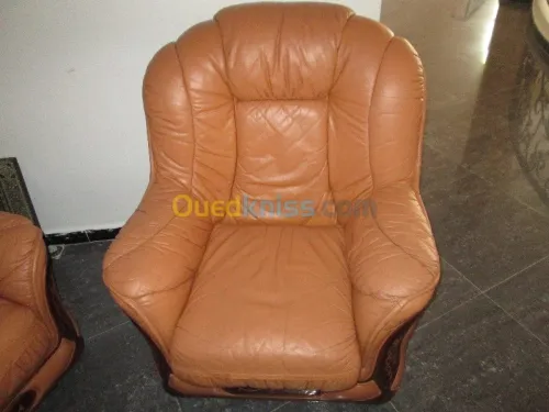 Nettoyage professionnel du cuir