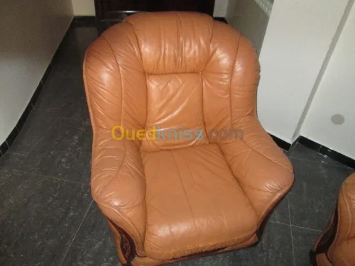 Nettoyage professionnel du cuir