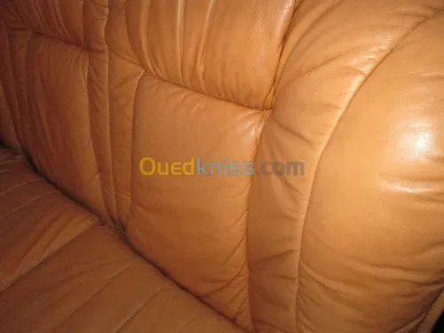 Nettoyage professionnel du cuir