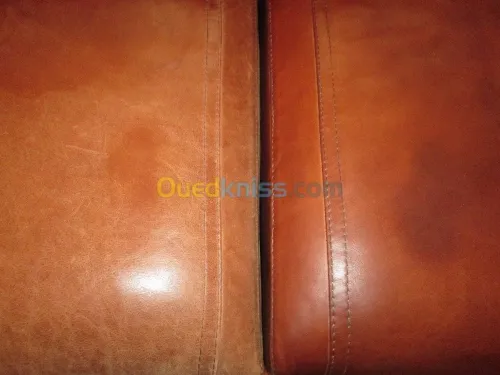 Nettoyage professionnel du cuir