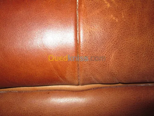 Nettoyage professionnel du cuir