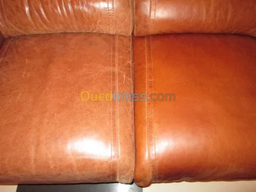 Nettoyage professionnel du cuir