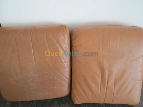 Nettoyage professionnel du cuir