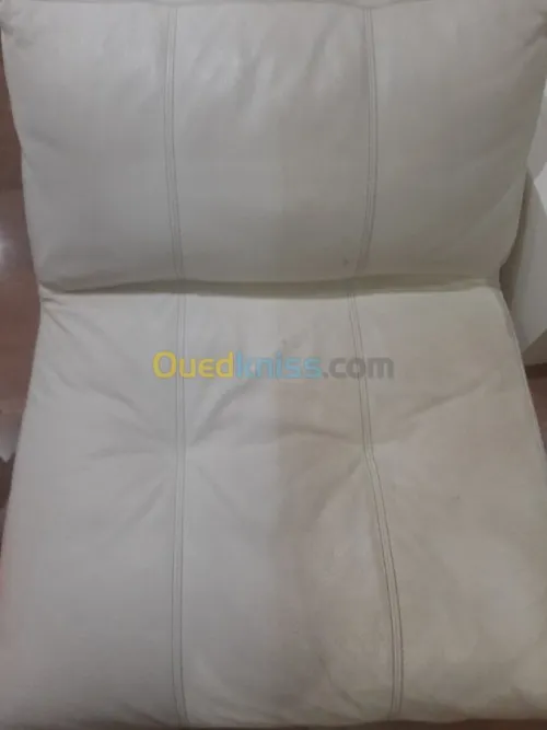 Nettoyage professionnel du cuir