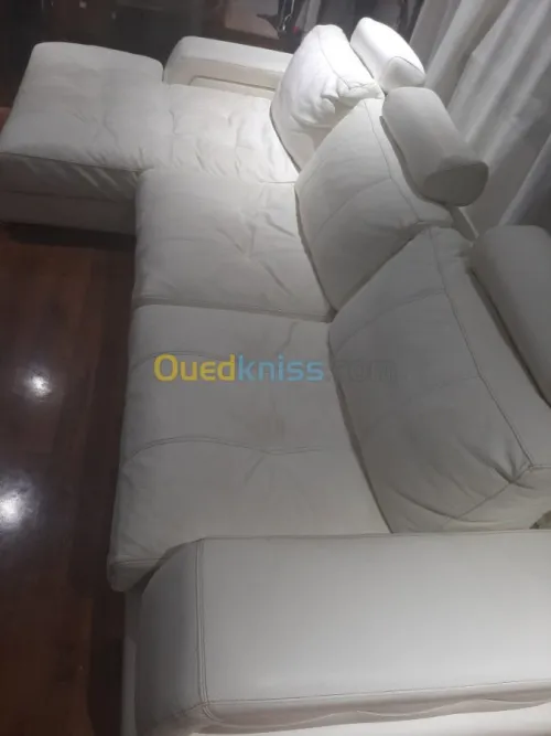 Nettoyage professionnel du cuir