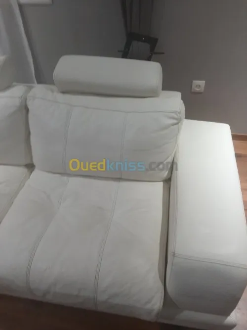 Nettoyage professionnel du cuir