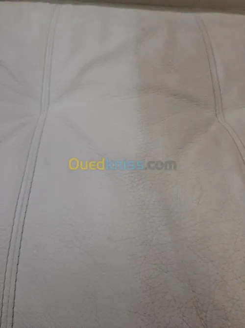 Nettoyage professionnel du cuir