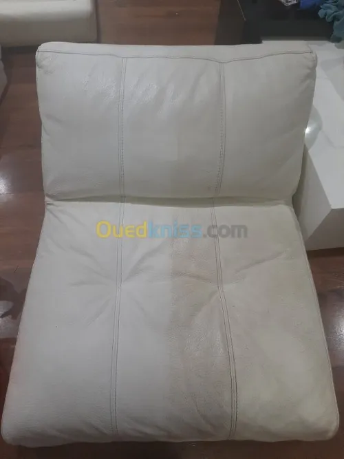 Nettoyage professionnel du cuir