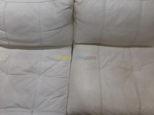 Nettoyage professionnel du cuir