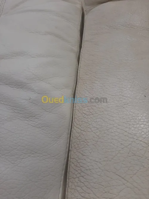 Nettoyage professionnel du cuir