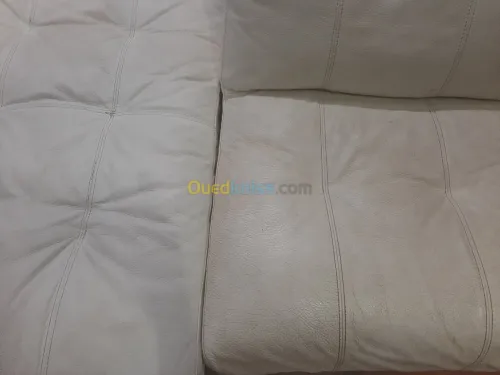 Nettoyage professionnel du cuir