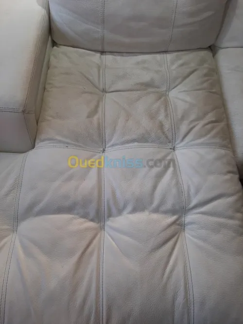 Nettoyage professionnel du cuir