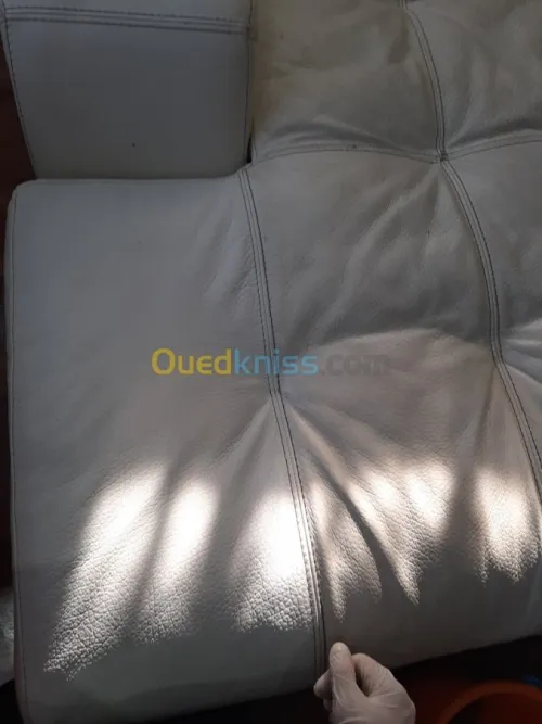 Nettoyage professionnel du cuir
