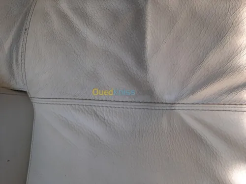 Nettoyage professionnel du cuir