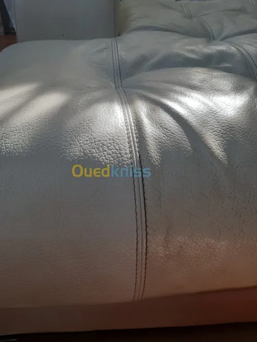 Nettoyage professionnel du cuir