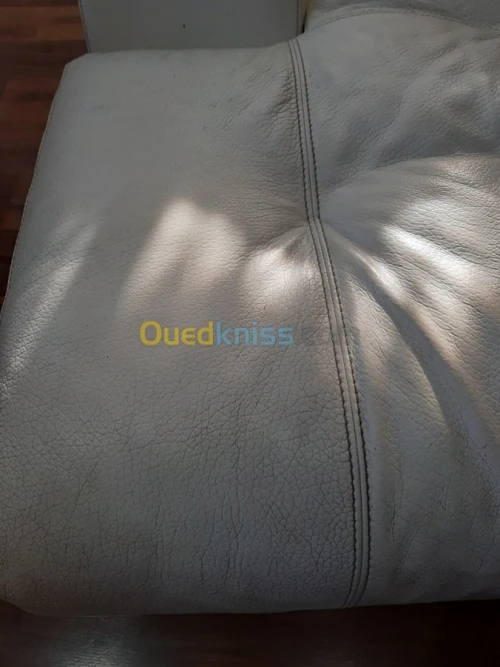 Nettoyage professionnel du cuir