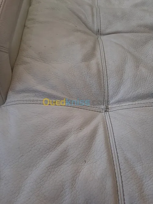Nettoyage professionnel du cuir