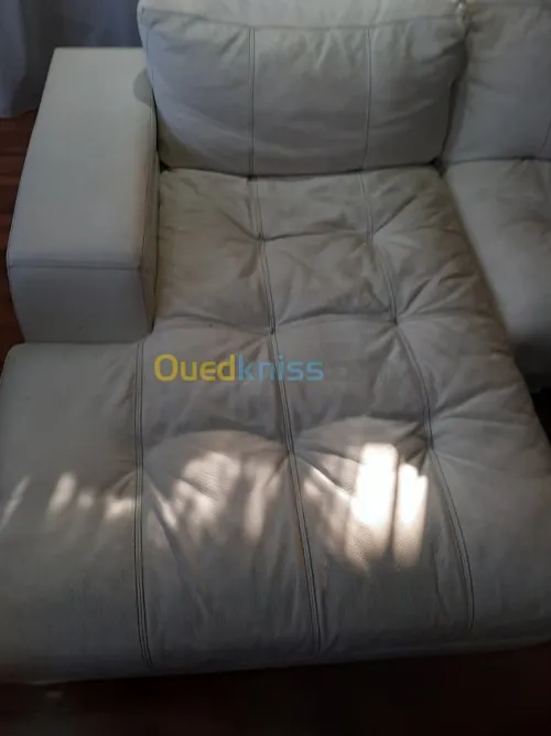 Nettoyage professionnel du cuir