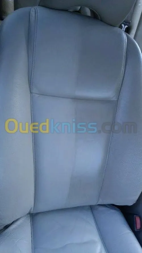 Nettoyage professionnel du cuir