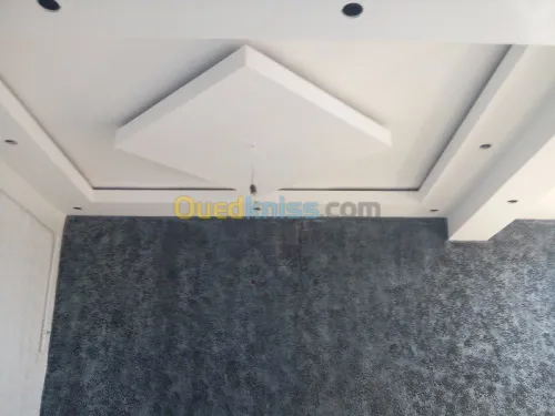 placoplater et  pvc ba13 