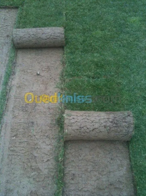 decoration des jardin 