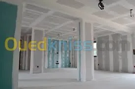 Peinture decoration placo platre