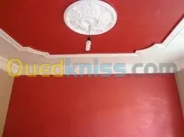 Peinture decoration placo platre