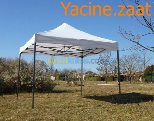 Tente