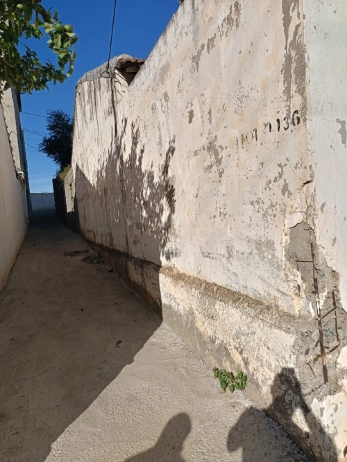 Vente Terrain Alger Saoula