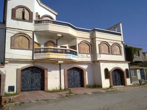 Maçon professionnel