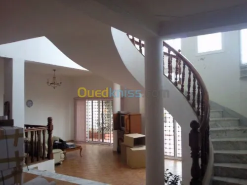 Maçon professionnel