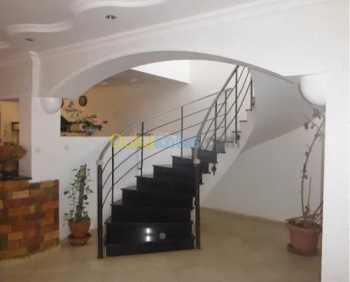 Maçon professionnel