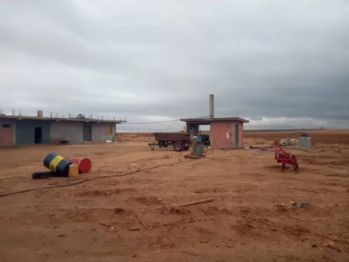 Vente Terrain Agricole Djelfa Bouira lahdab