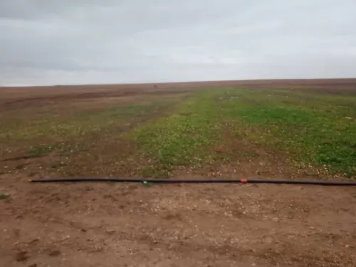 Vente Terrain Agricole Djelfa Bouira lahdab