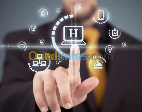 Développement solutions informatiques