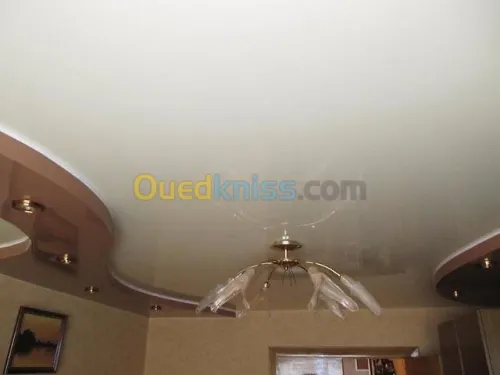 Placo Platre BiA13 & Parquets