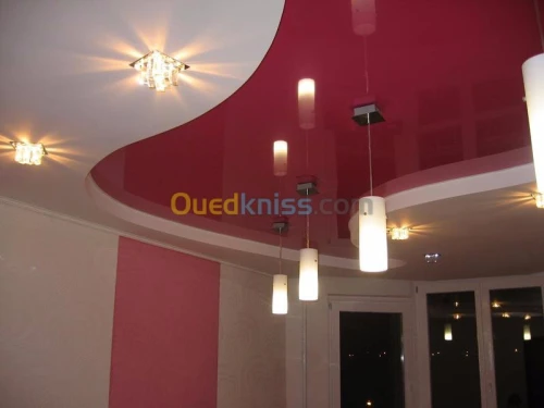 Placo Platre BiA13 & Parquets