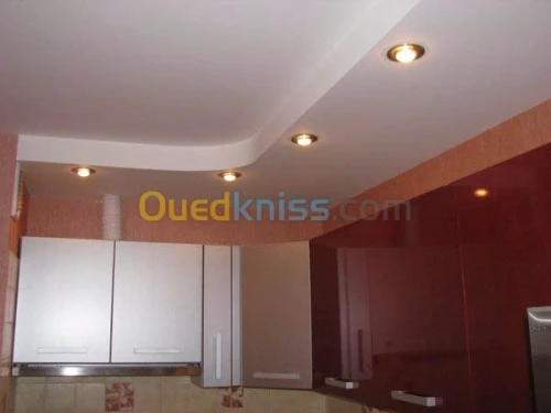 Placo Platre BiA13 & Parquets