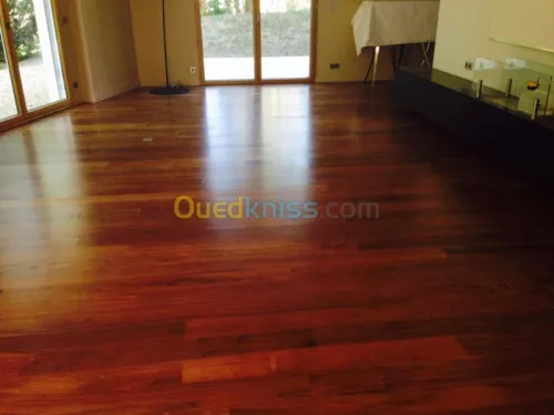 Placo Platre BiA13 & Parquets